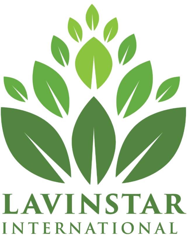 Lavinstar International Pvt Ltd 3